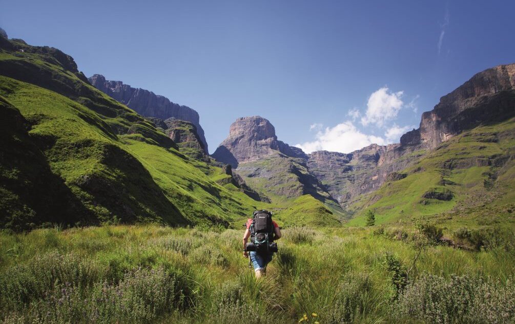 Een wandelaar met rugzak die over de groene hellingen omhoog wandelt in de richting van de imposante Cathedrals Peak waarvan de contouren scherp aftekenen tegen de strak blauwe lucht