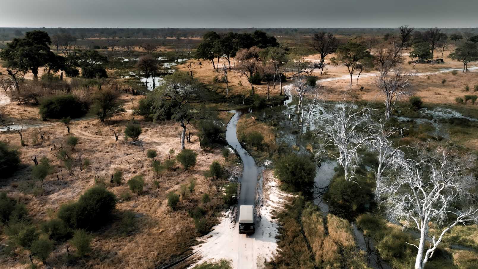 Game Drive tijdens Private Canvas Safari door het ruige landschap van Moremi